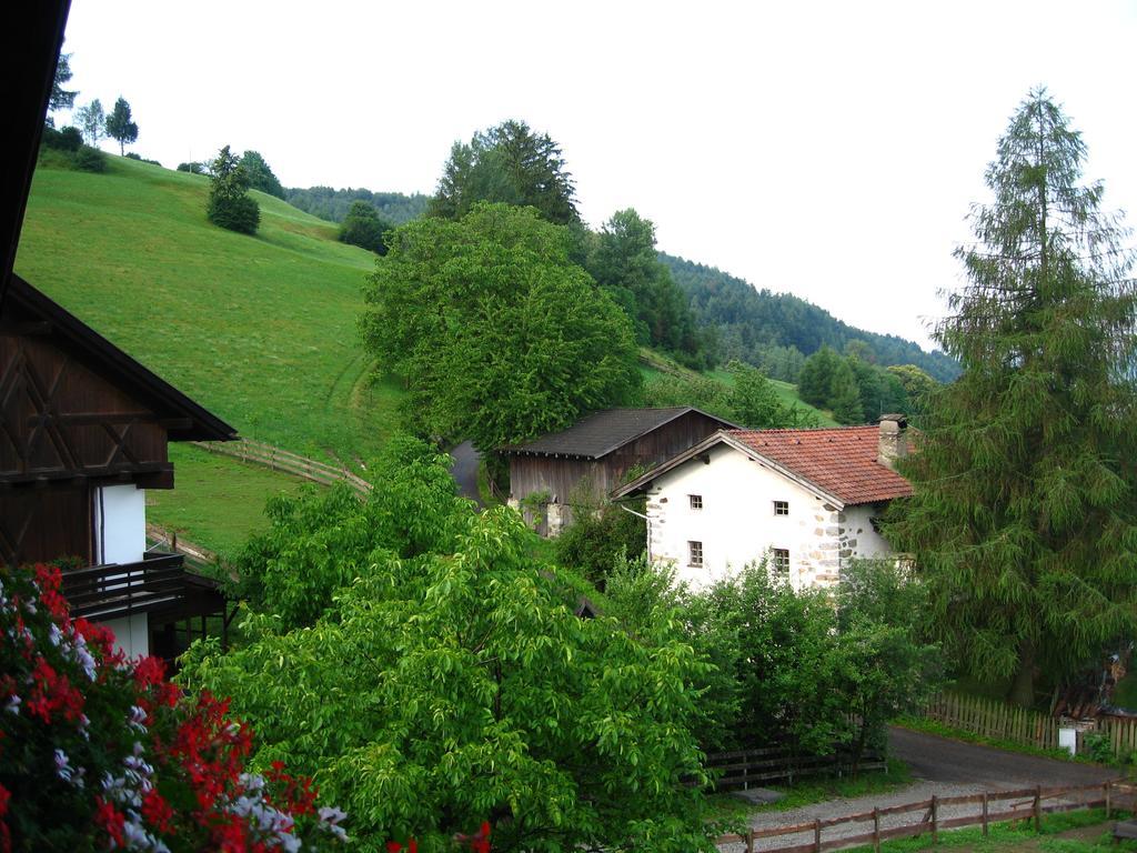 Dillerhof Apartment Laion Exterior foto