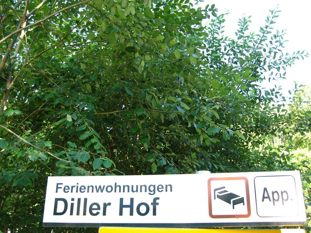 Dillerhof Apartment Laion Exterior foto